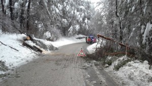 1008679_10202843487425418_1304654484_o (1)