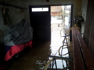 1625693_10152158183568847_314907835_n