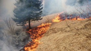 11150394_10206559882386627_3911343856804690333_n