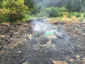 11180604_10207425779193506_9027188185947578622_n