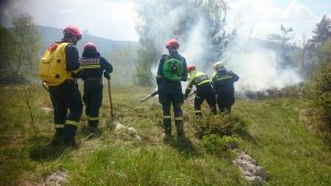 DSC_1465 (1024 x 576)