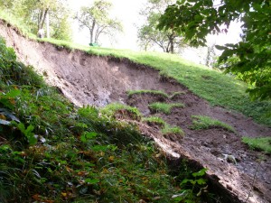 slika-_original-1392203875-62633